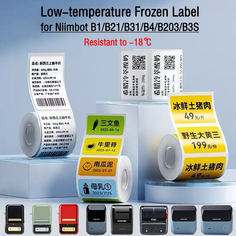 NIIMBOT B1/B2/B21/B31/B4/B203/ - Food Storage Labels recension och pris